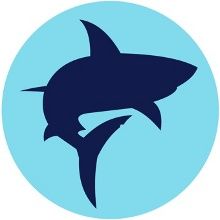 shark-tank-season.pages.dev favicon